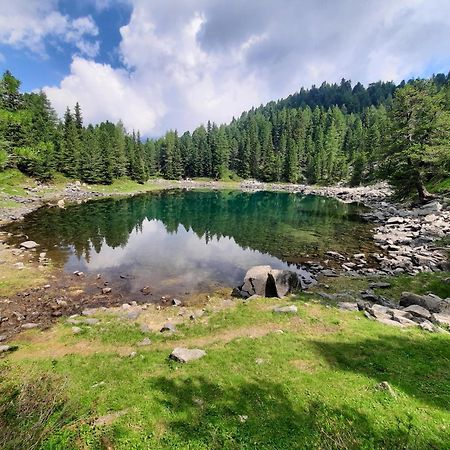 Hoermannhof Брессаноне Экстерьер фото